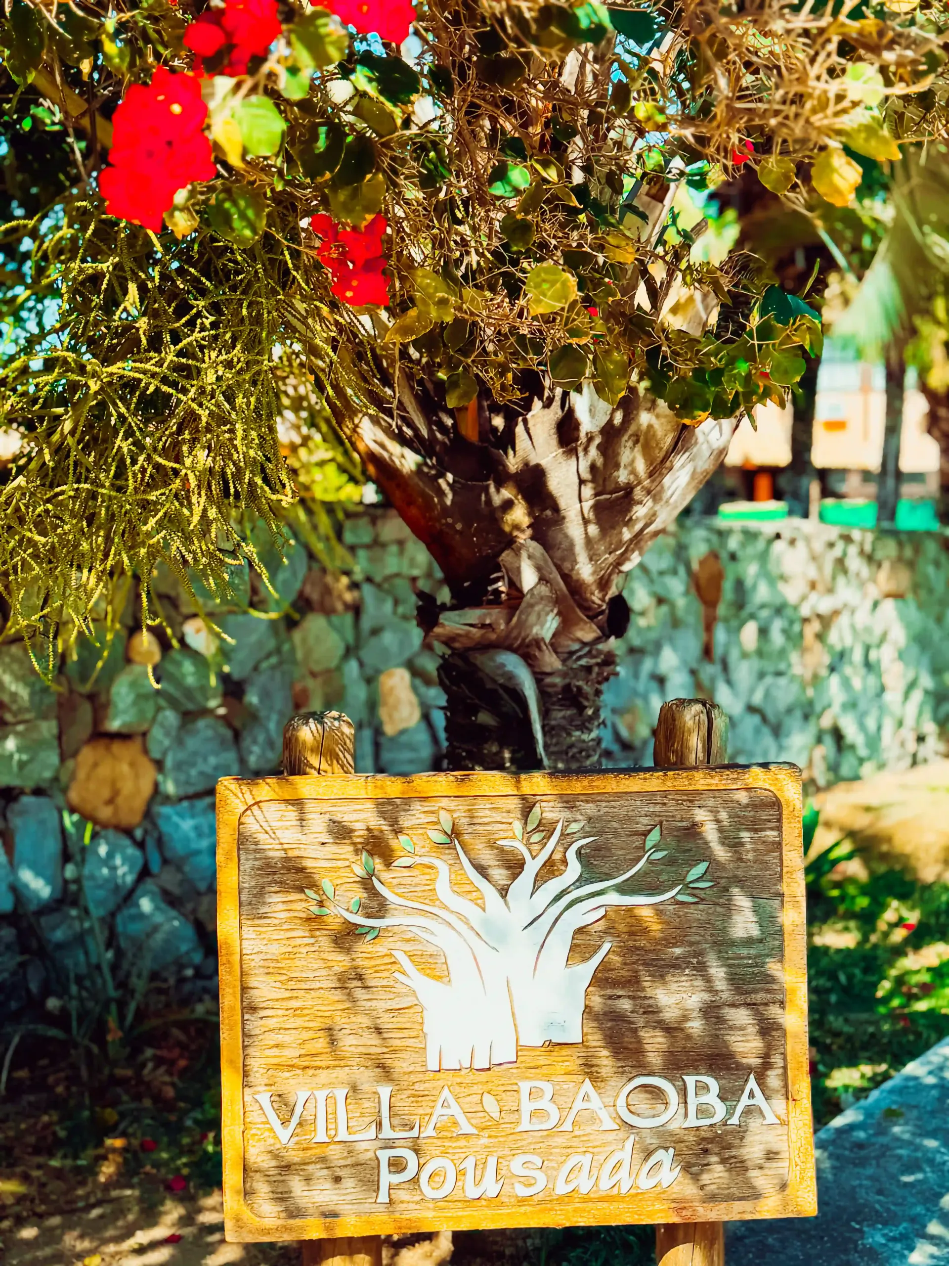 Placa de madeira com o nome Villa Aurora Posada sob uma árvore, com um muro de pedra e flores vermelhas ao fundo.