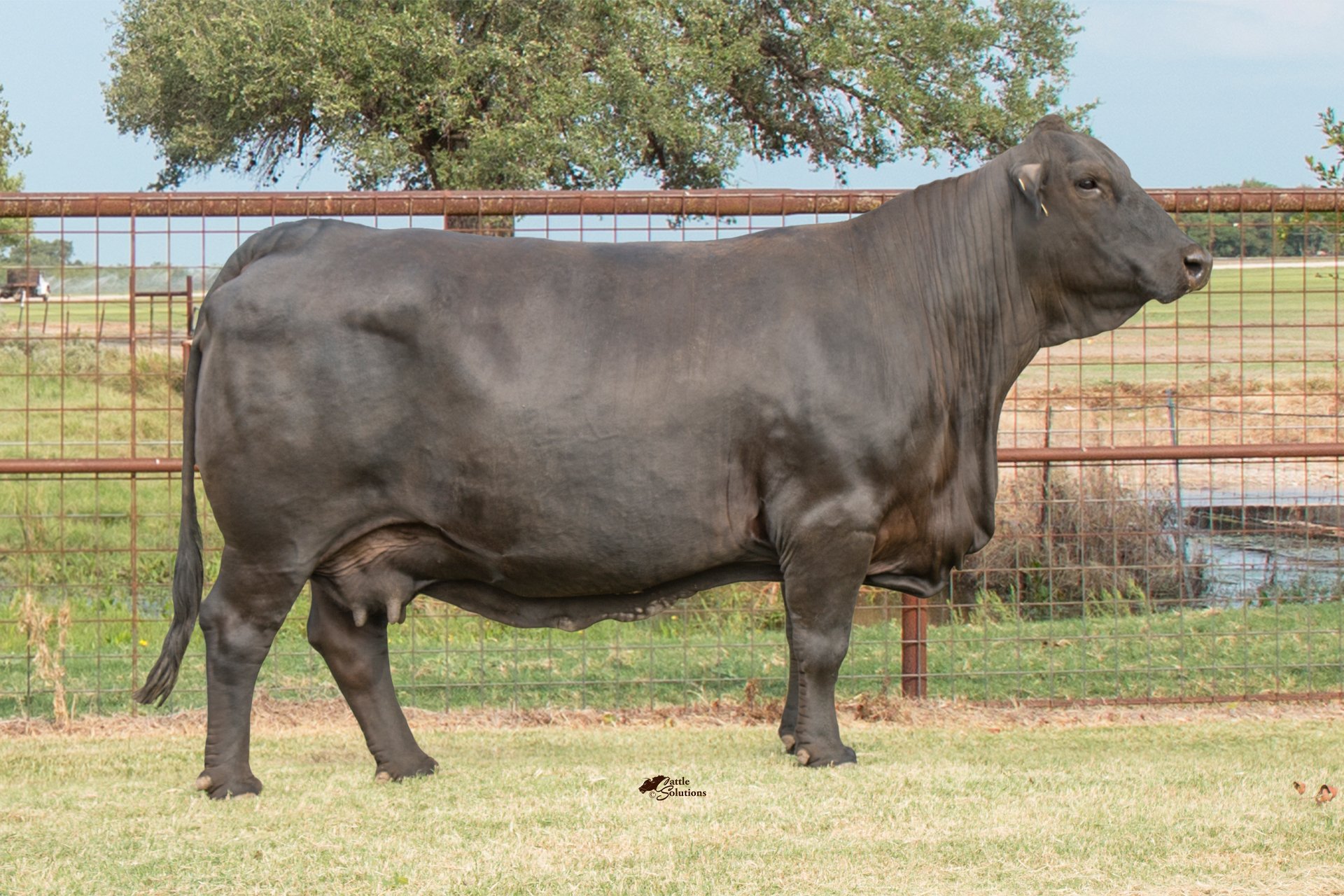 Champions Valley Schulenburg, Texas