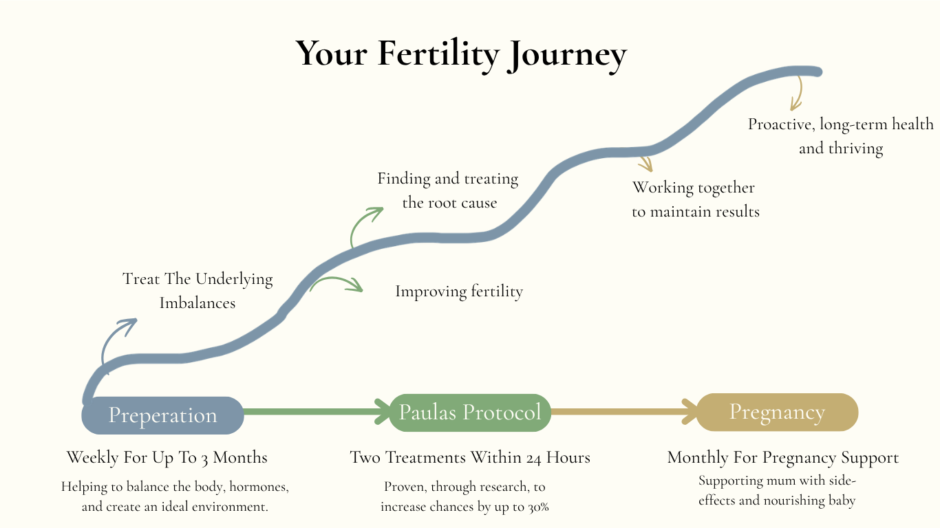 A diagram showing a typical fertility journey from initial treatment to longevity-based results.
