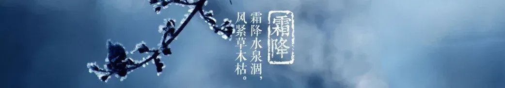 An image is behind Chinese Characters for the Seasonal Node of Jie Qi. In the background is a frosted plant.