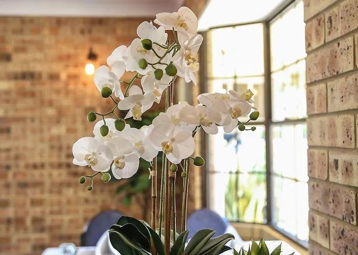 White orchid arrangement in a gold vase by a sunlit brick wall and window