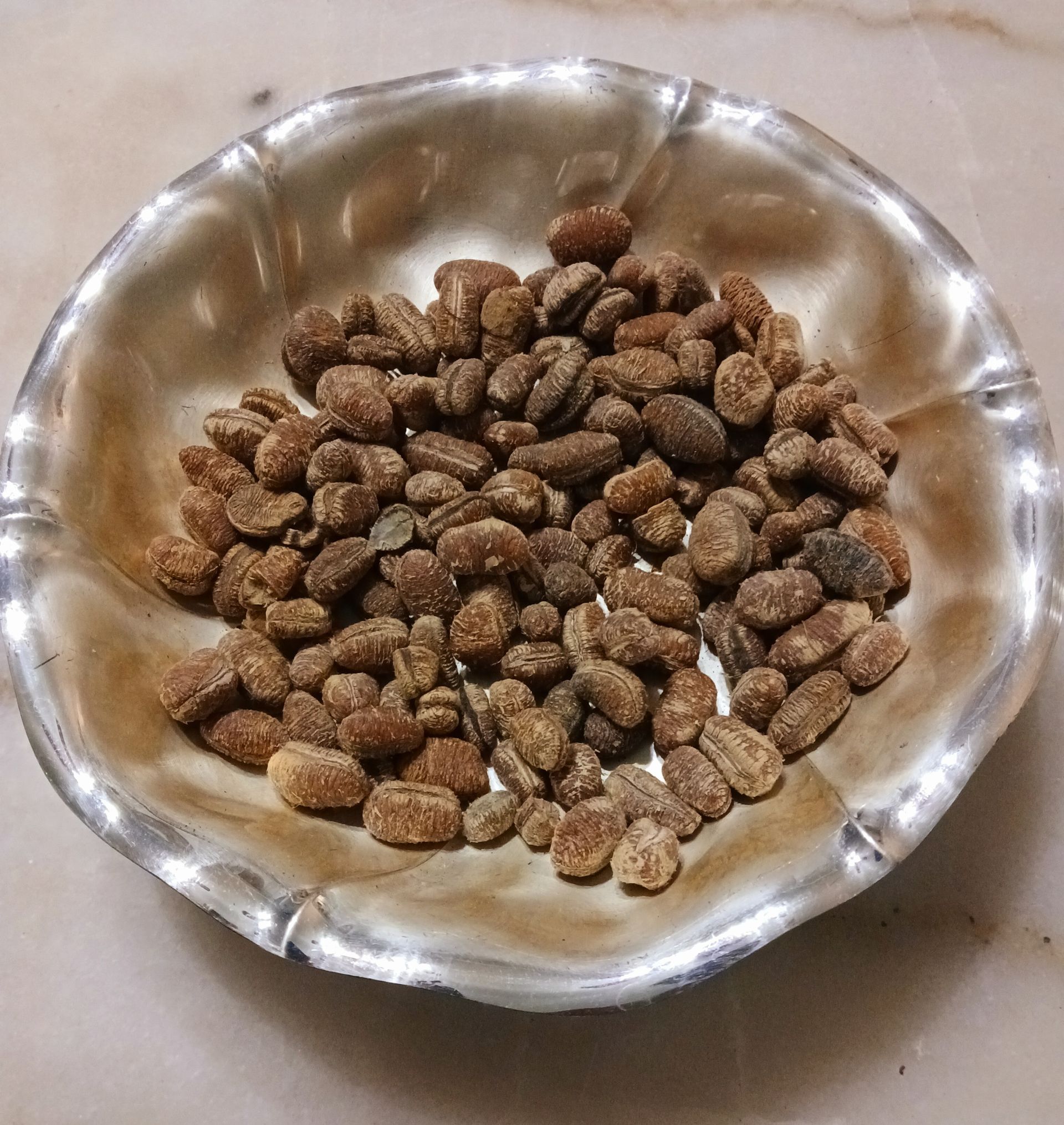 Motherland Calabash pilled Nutmeg Spice (Ayikou)