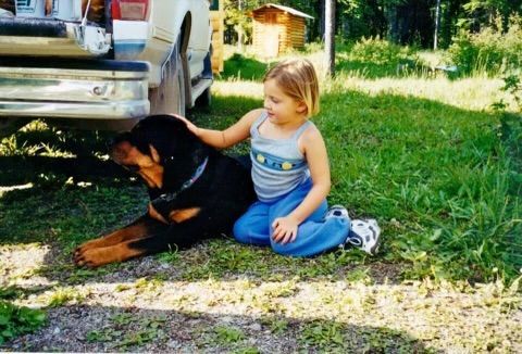 Child in blue kneels petting a Rottweiler dog on grass, near a pickup truck.
