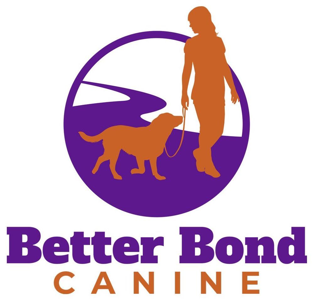 Orange silhouette of a person walking a dog on a leash inside a purple circle, with the text 