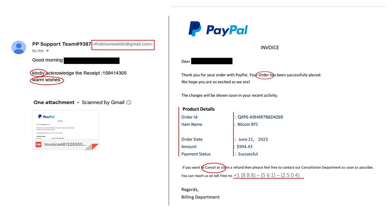paypal email scam