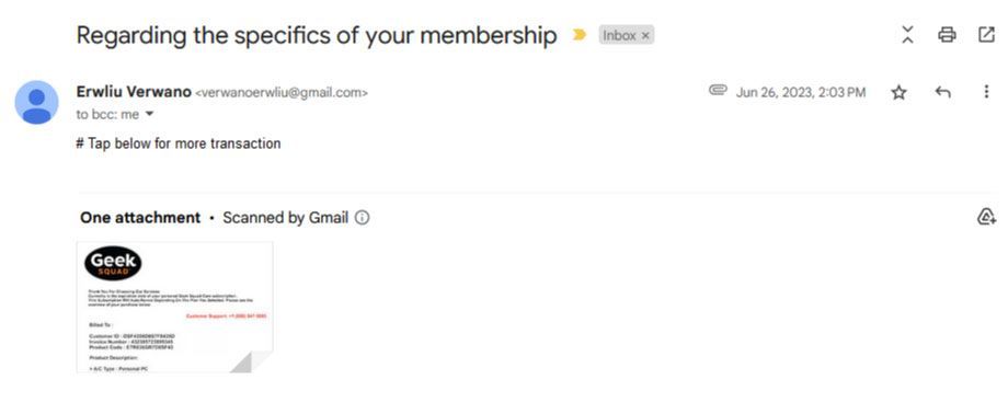 geek squad phishing email