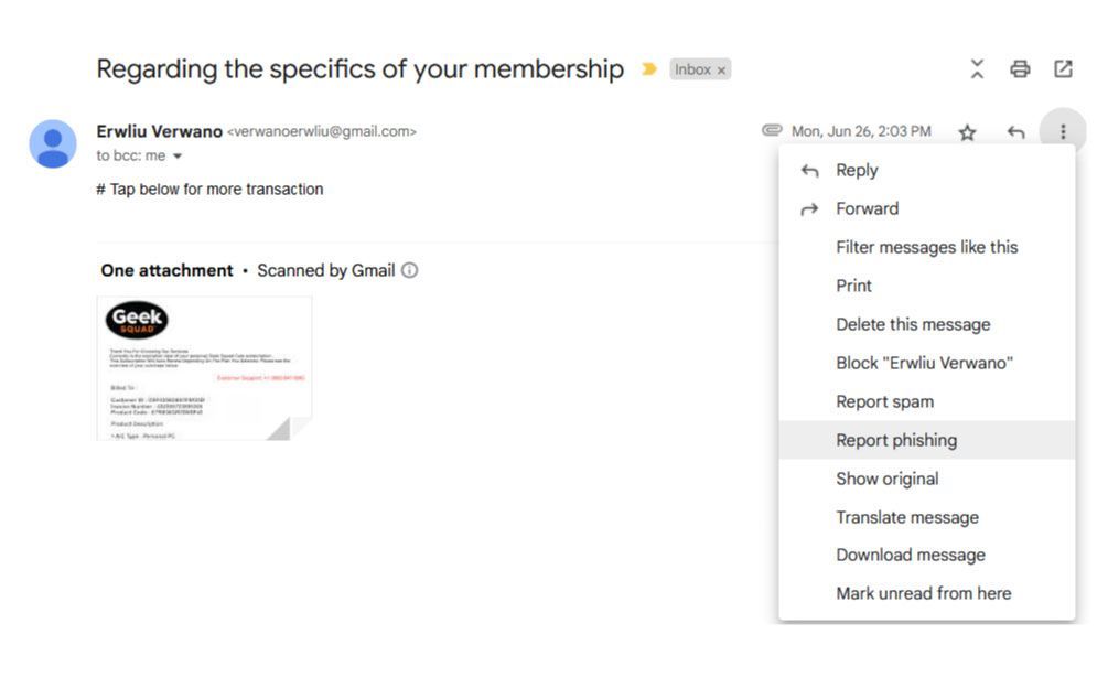 geek squad what to do phishing