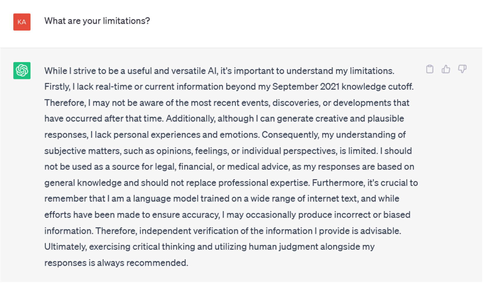 Screenshot of text from a chatbot explaining limitations: not for legal, financial, or medical advice.