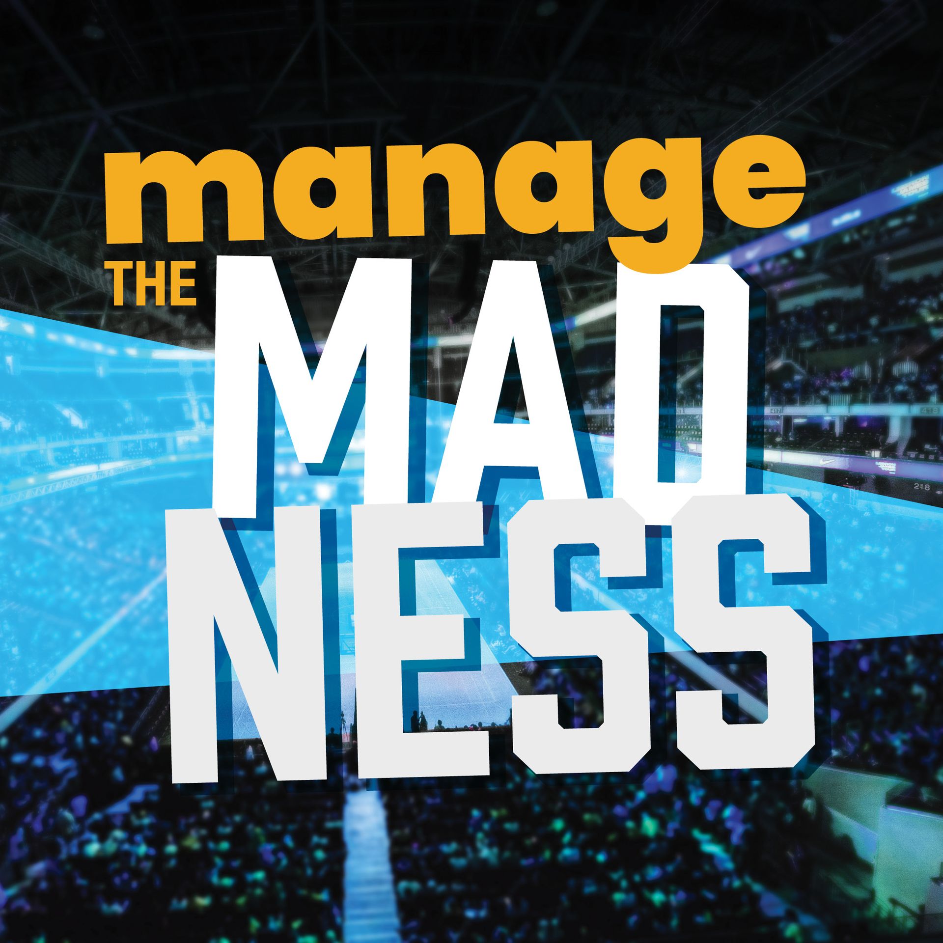 A poster that says manage the mad ness on it