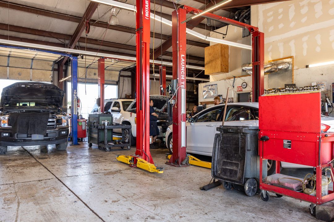 An auto repair shop with multiple vehicles on lifts. Red and yellow lifts, open garage bay.