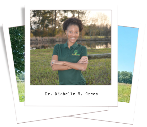 Home | SimplyGreen Health and Wellness