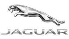 Jaguar logo: Silver leaping jaguar above the brand name in silver.