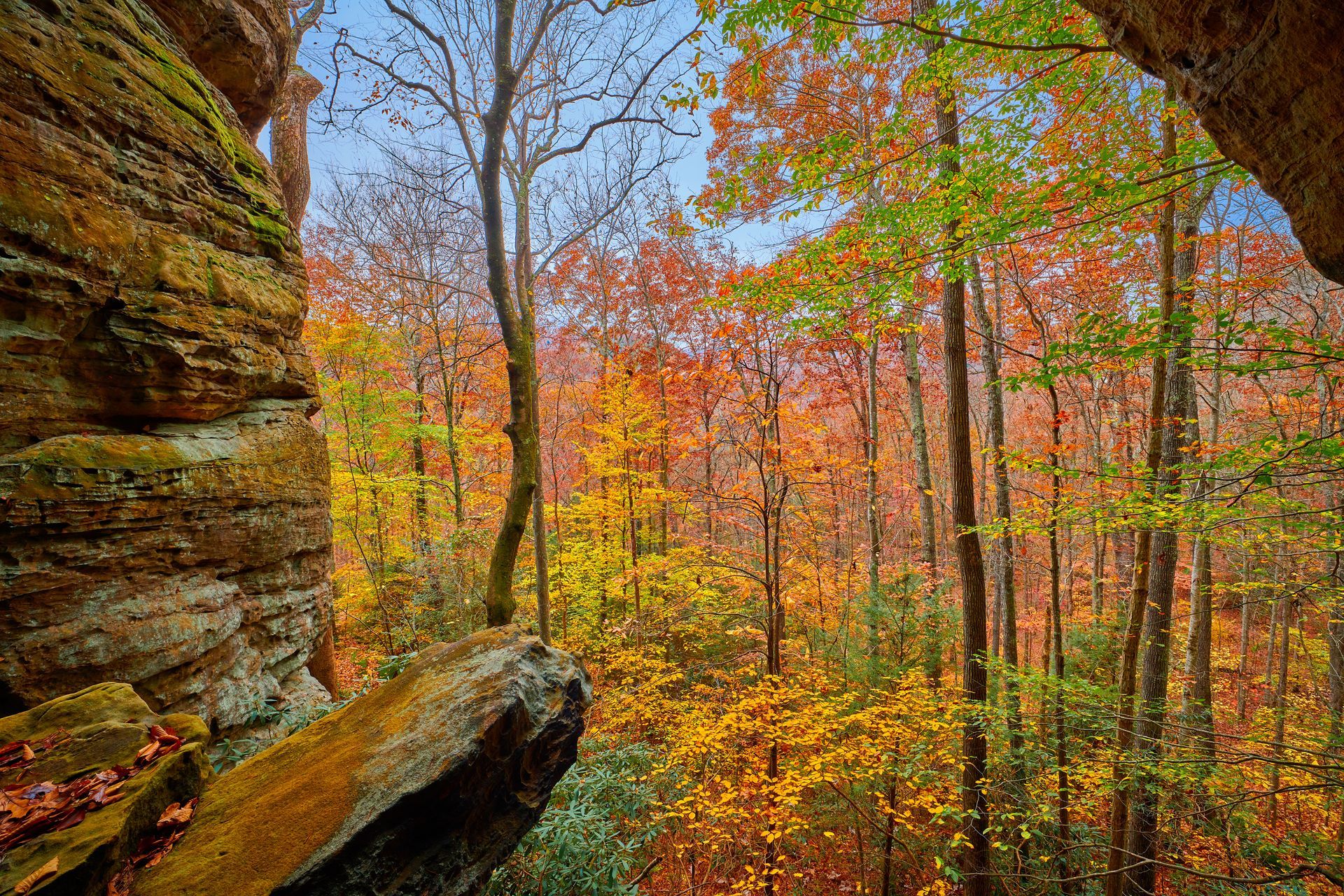 Autumn forest scene, viewed from a rock crevice, with vibrant orange and yellow leaves.
