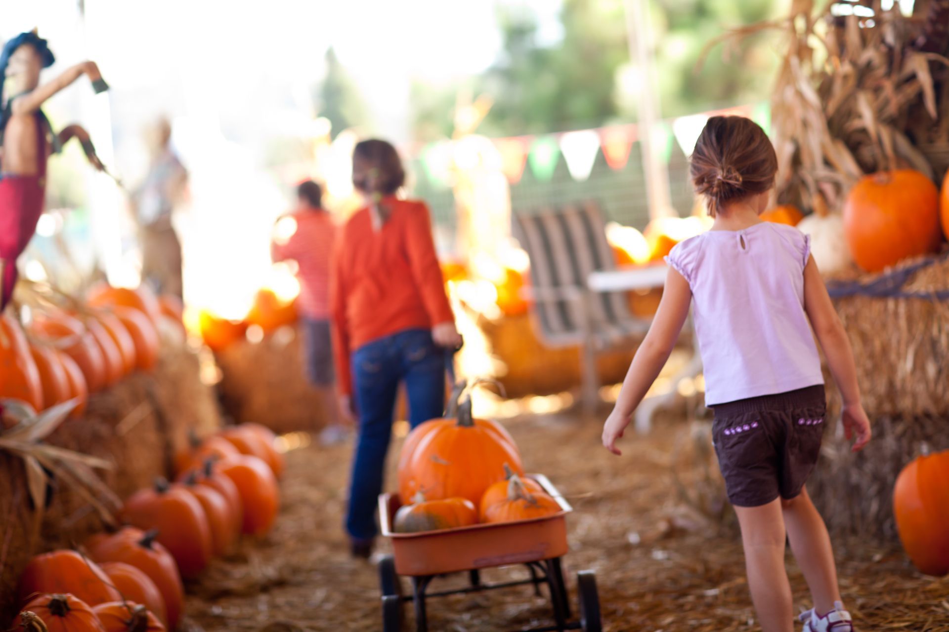Girl pulling a wagon of pumpkins at a pumpkin patch. People browse in the background.