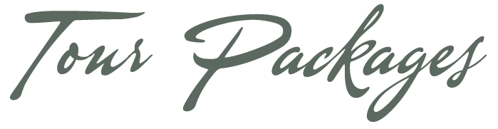 The word tour packages is written in cursive on a white background.