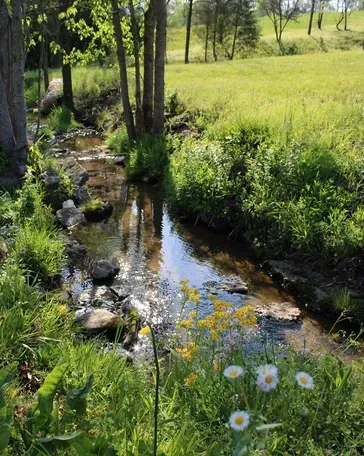 A small stream running through a grassy field surrounded by trees and flowers.