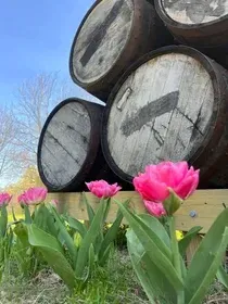 A bunch of wooden barrels stacked on top of each other with pink flowers in the foreground.