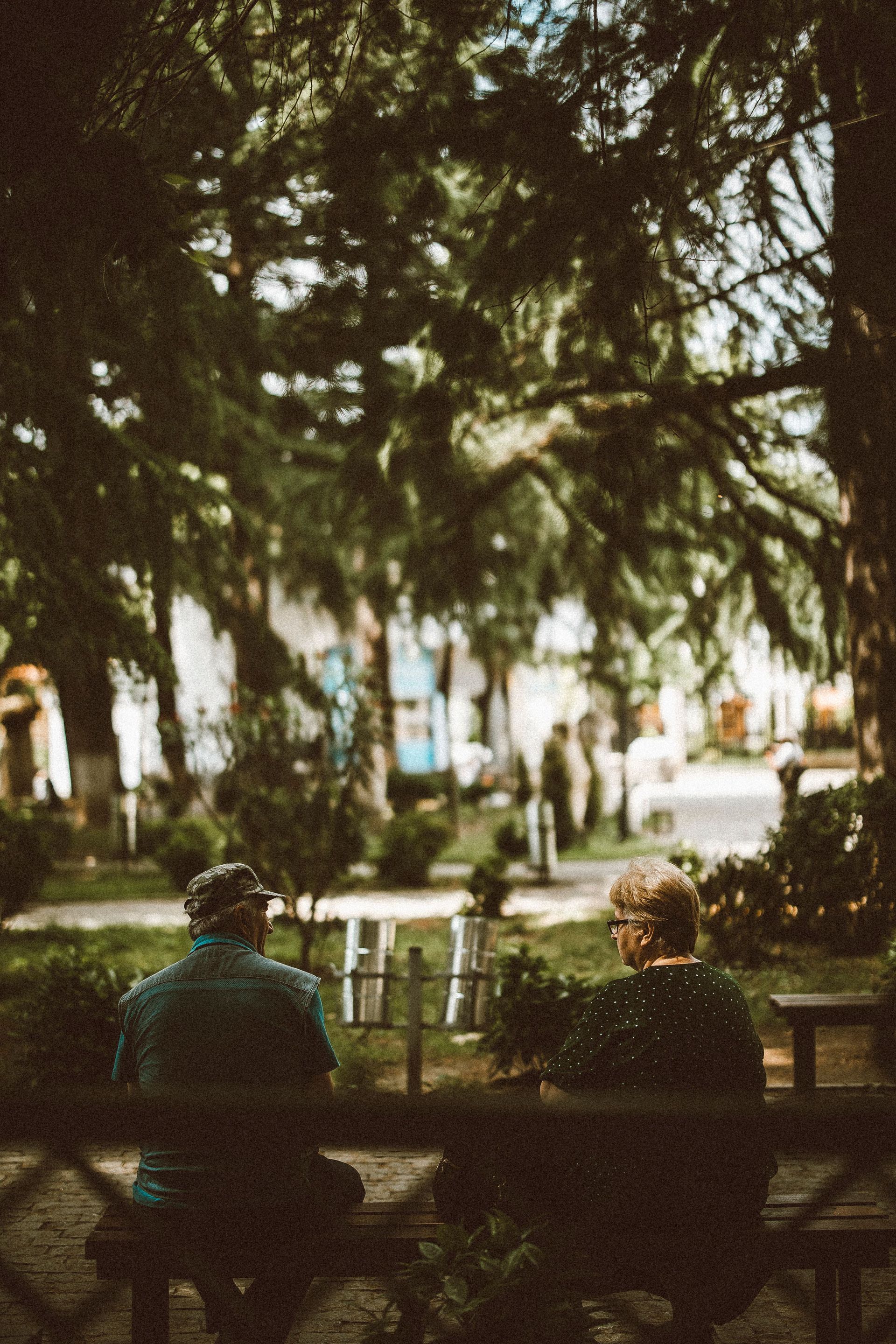 Two people sitting on a park bench under tall trees in a shaded garden area