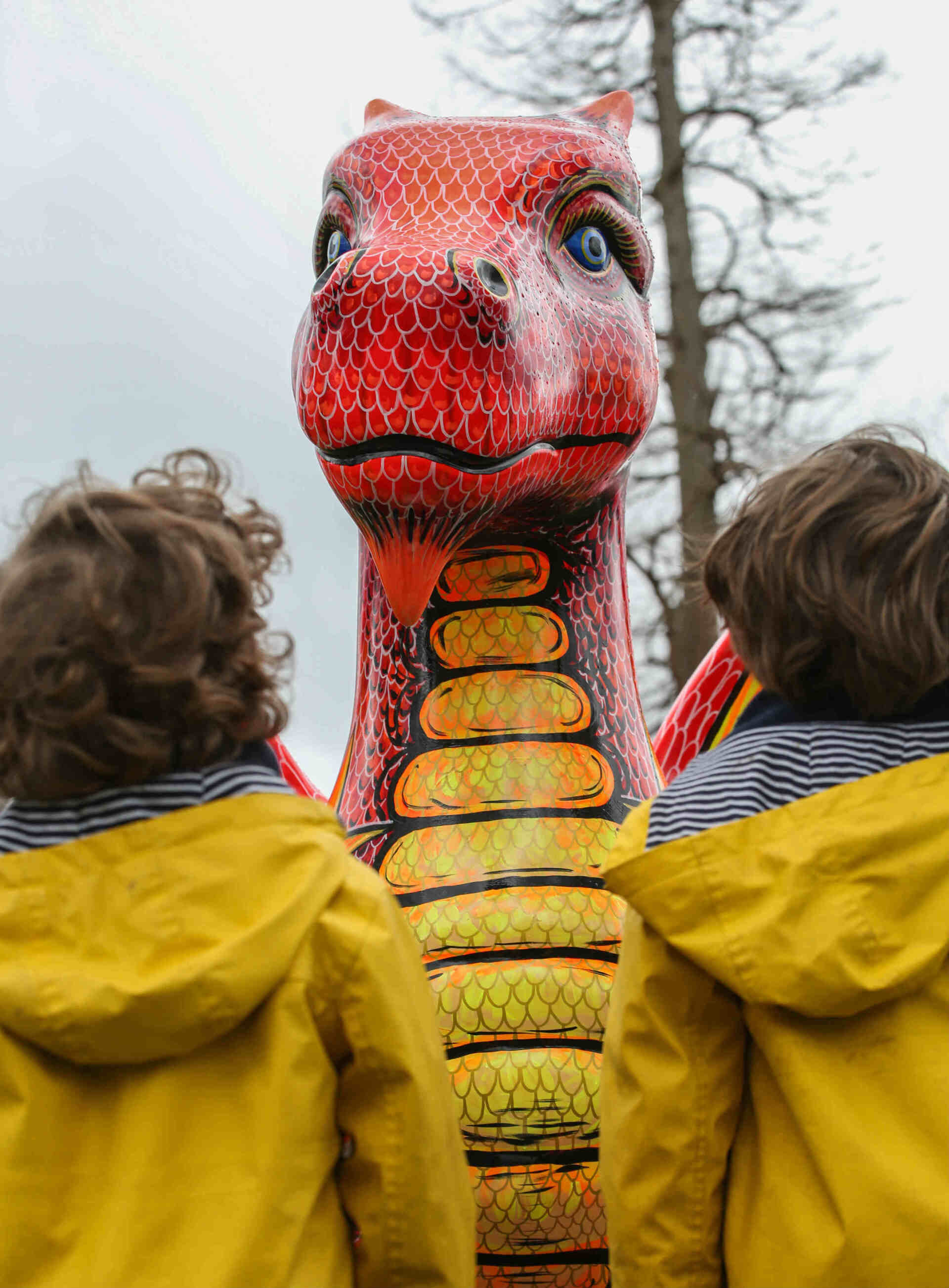 Colourful Dragon Display