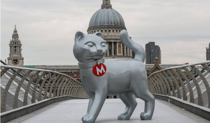 Giant Cat Display