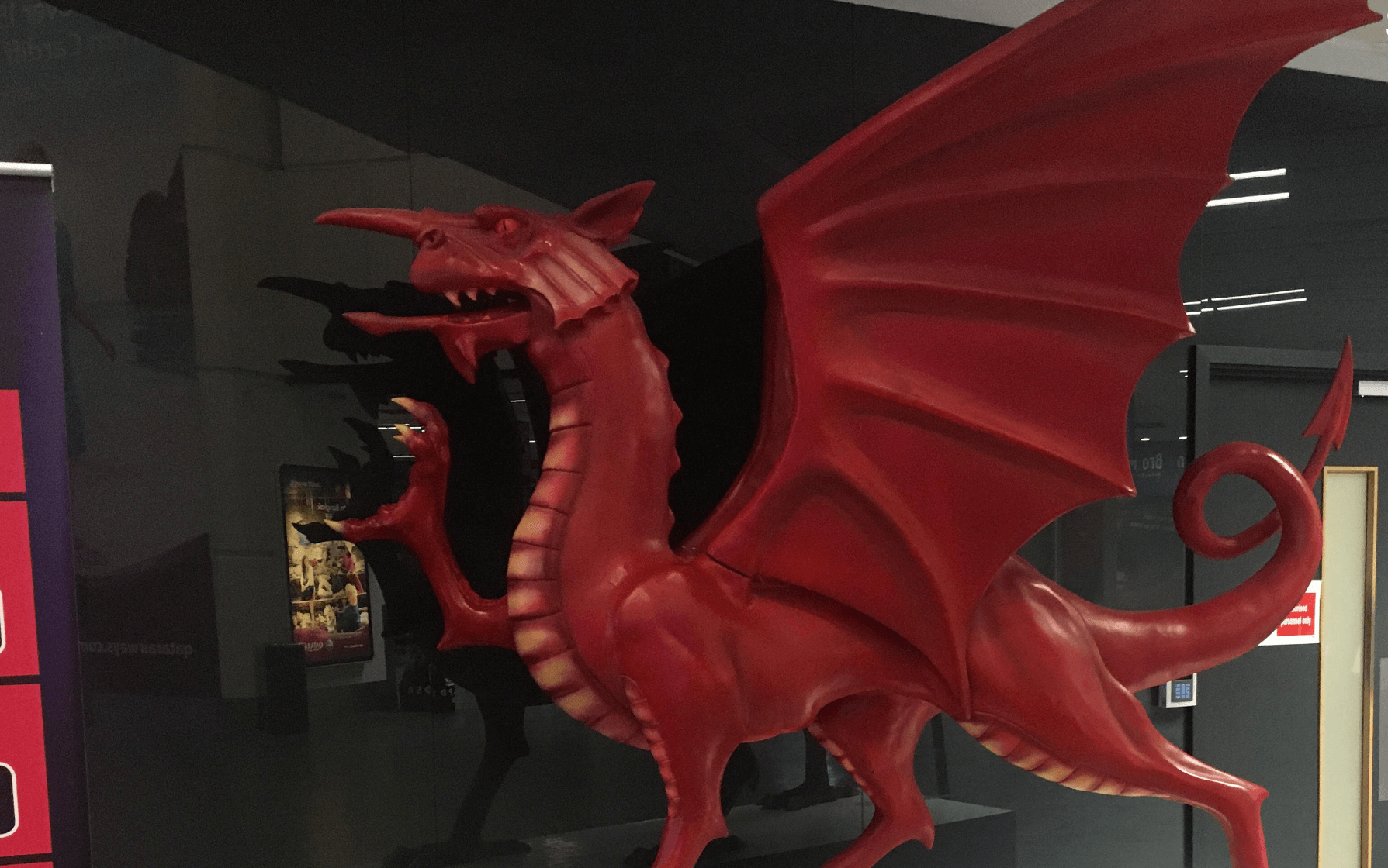 Welsh Dragon Display