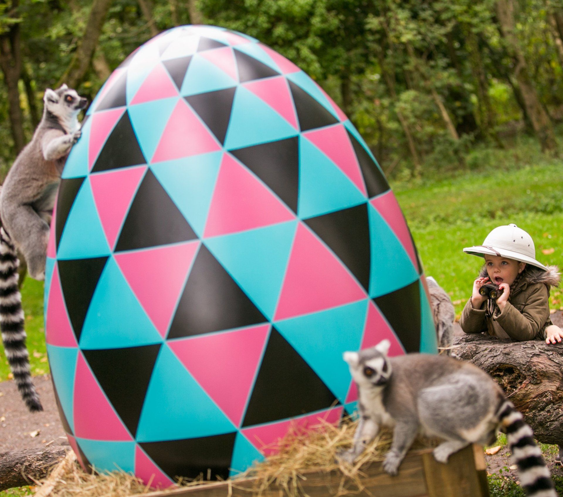 Giant Easter egg display