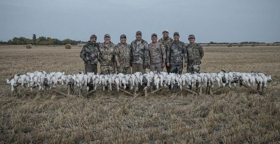 Saskatchewan Spring Snow Goose Hunts
