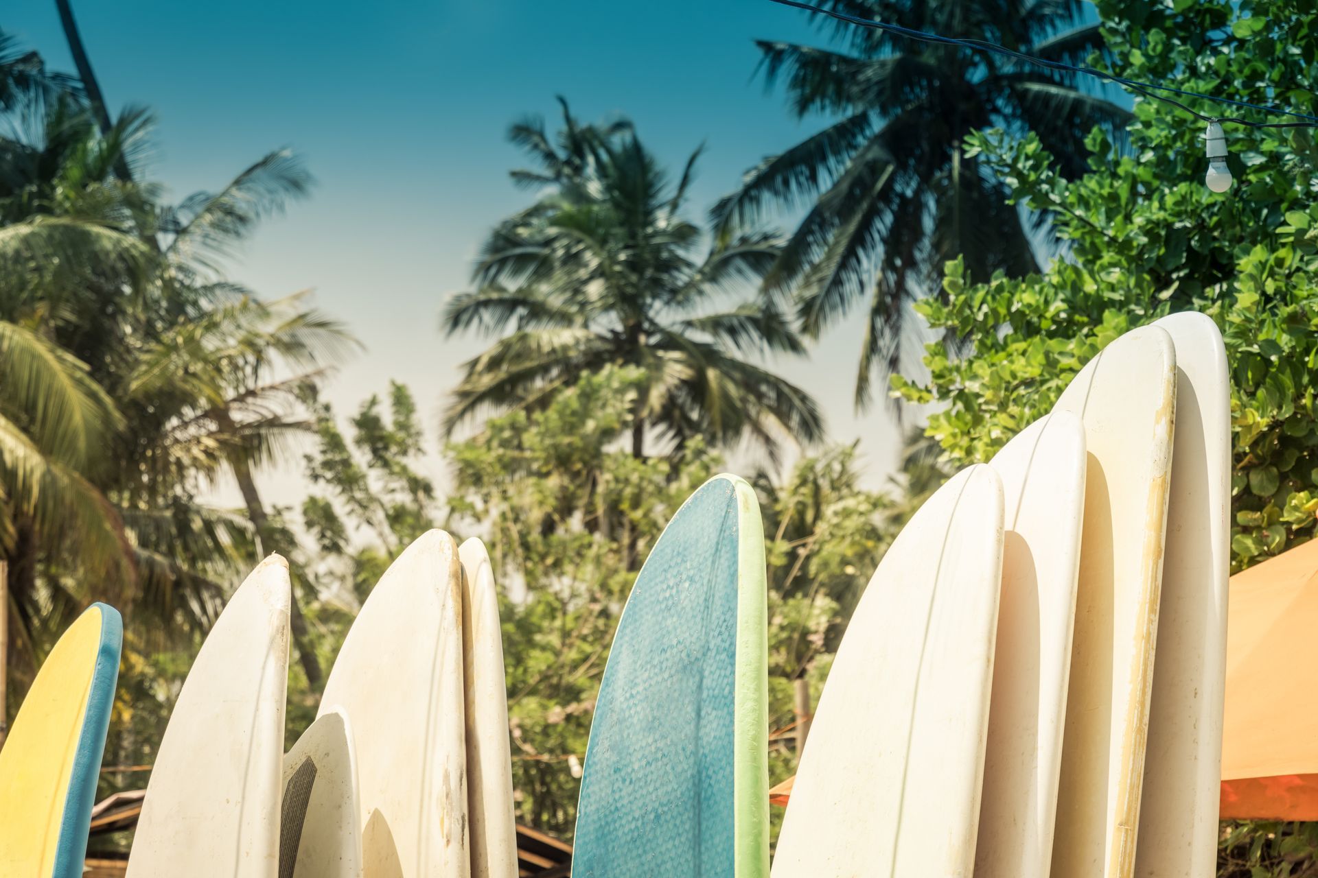 surf-boards