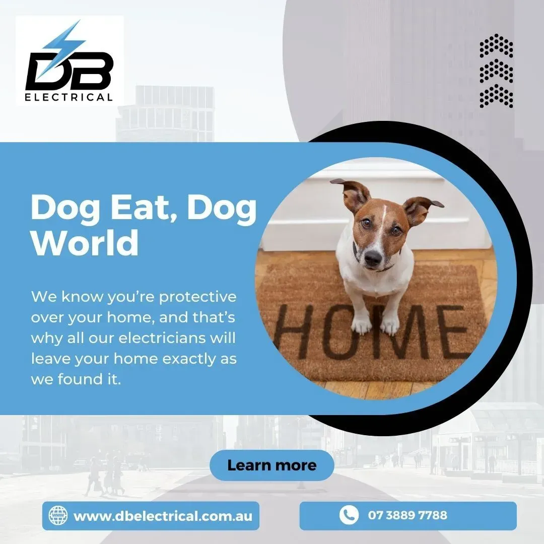 A Dog Is Sitting On A Door Mat That Says Home – Brendale, QLD - DB Electrical
