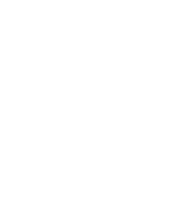 White line work of a leaf