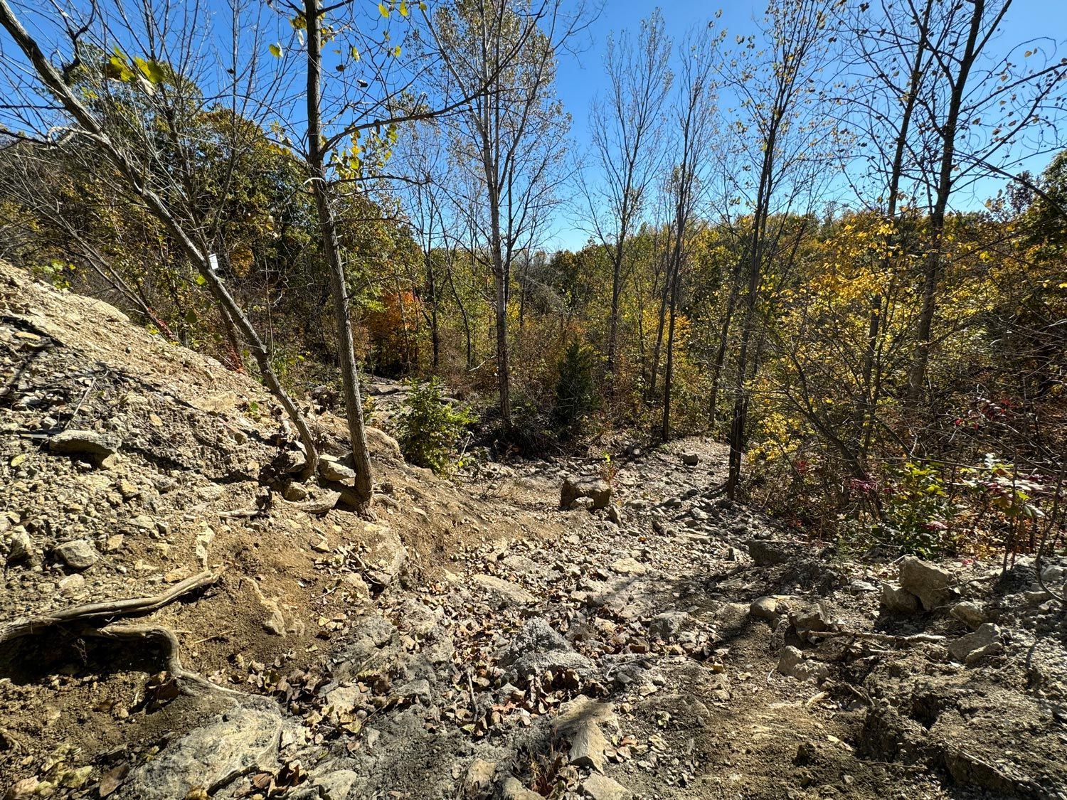 Rocky wooded hillside with sparse trees under a bright blue sky
