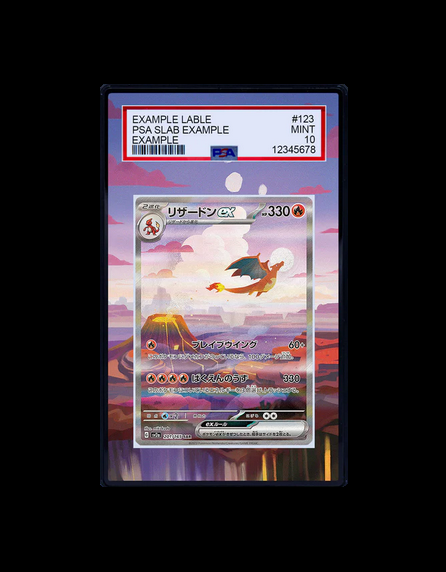 foto zard