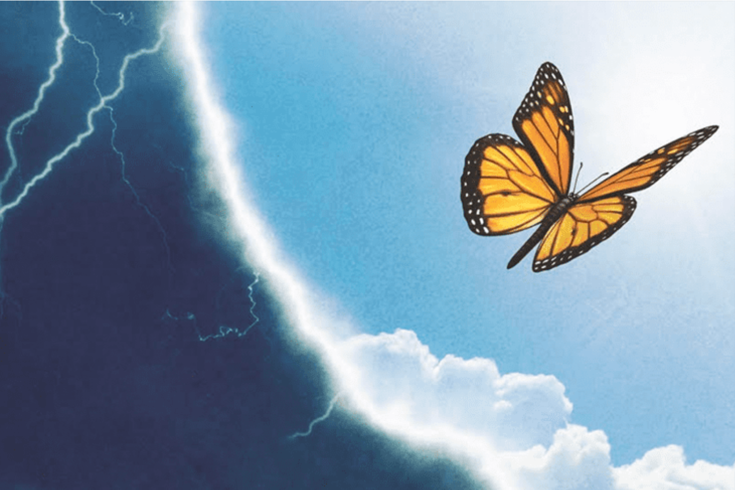Thriving on the Bipolar Spectrum