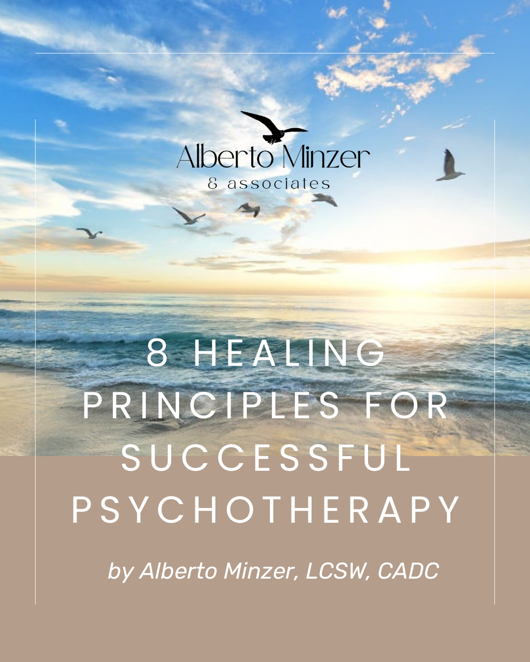 Book cover with ocean waves and birds: “8 Healing Principles for Successful Psychotherapy” by Alberto Muniz.