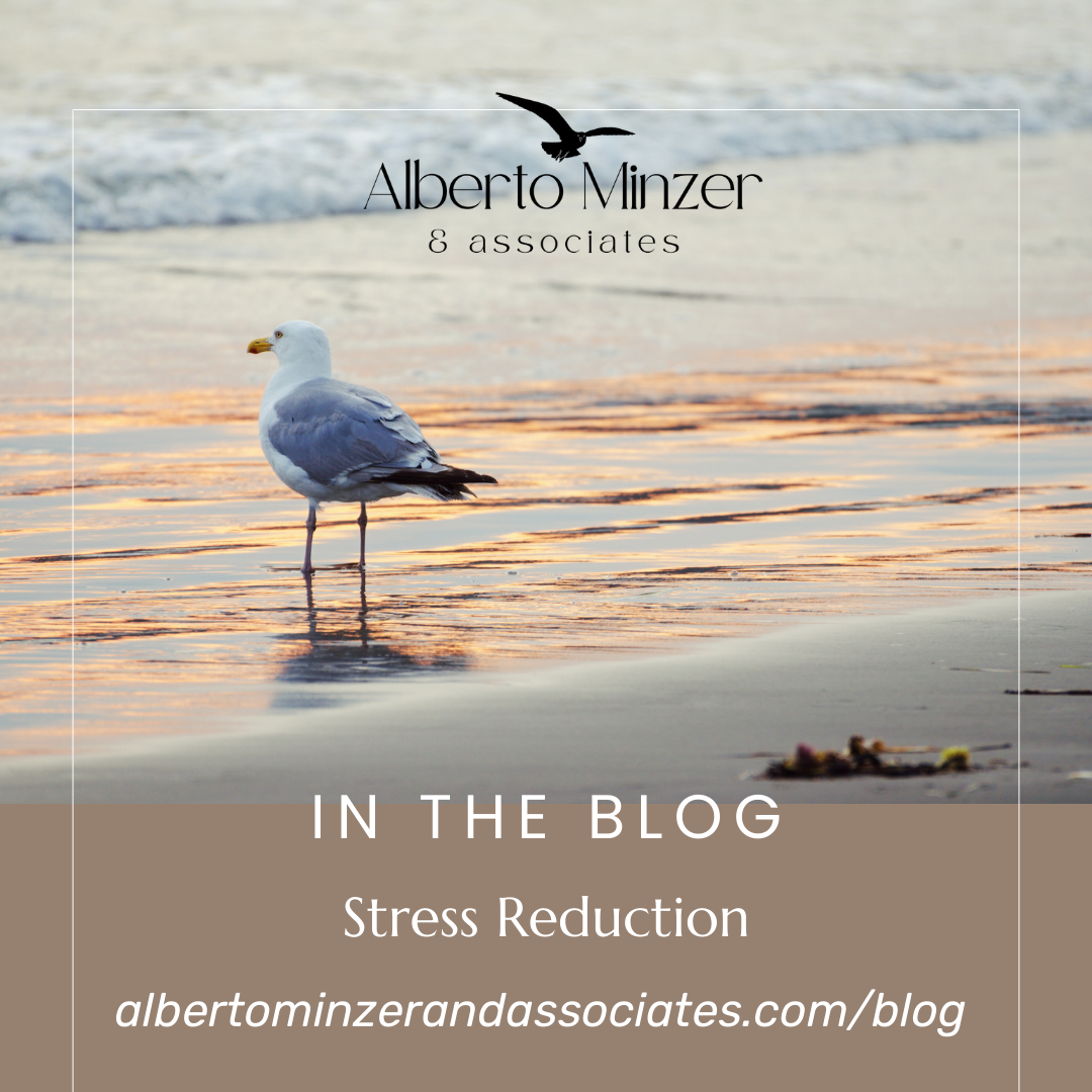 Seagull standing on a beach at sunset with “Alberto Minzer & Associates” and “In the Blog: Stress Reduction” text