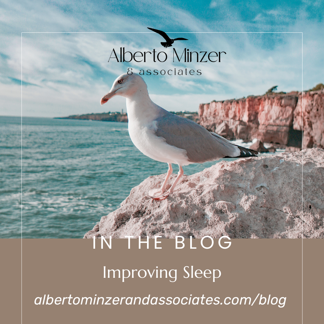 Seagull on a rocky cliff by the sea with Alberto Mintzer Associates blog text overlay
