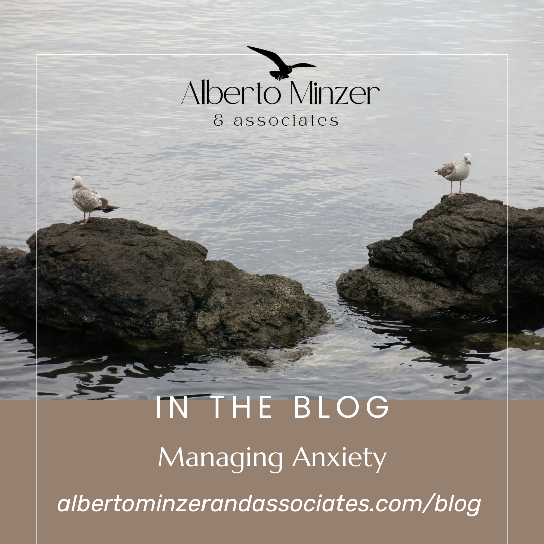 Two seagulls on rocks in calm water with Alberto Minzer & Associates blog and
