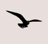 Silhouette of a bird in flight against a light background