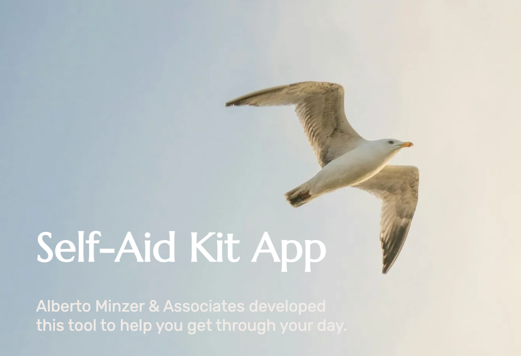 Self-Aid Kit App title over a pale sky with a flying bird