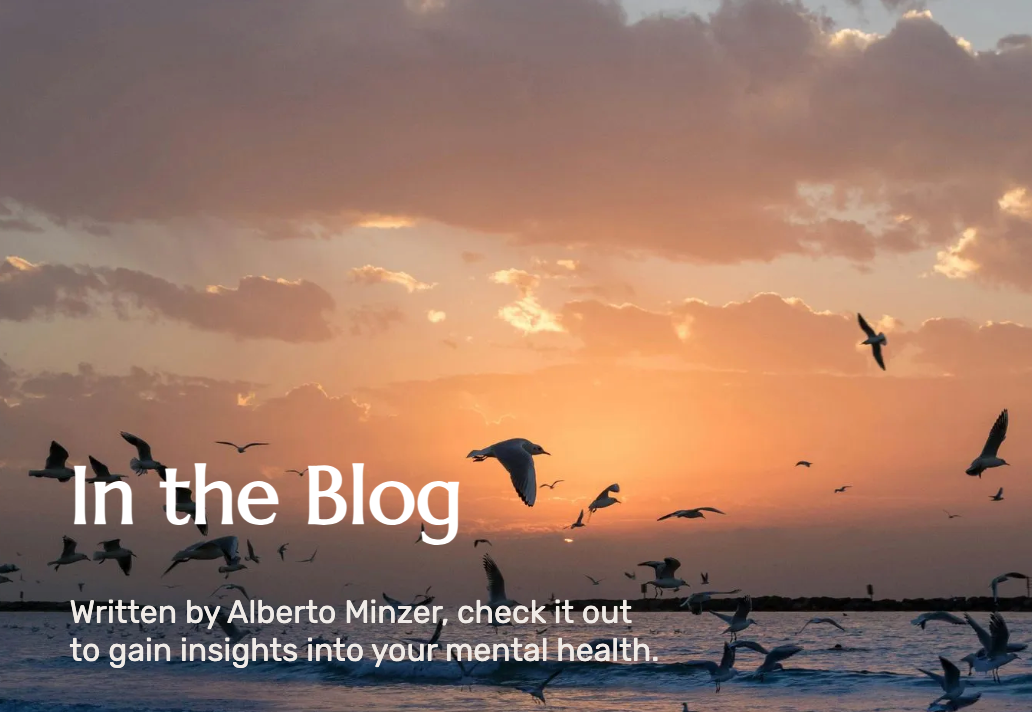Sunset beach scene with flying birds and the text “In the Blog” overlaid.