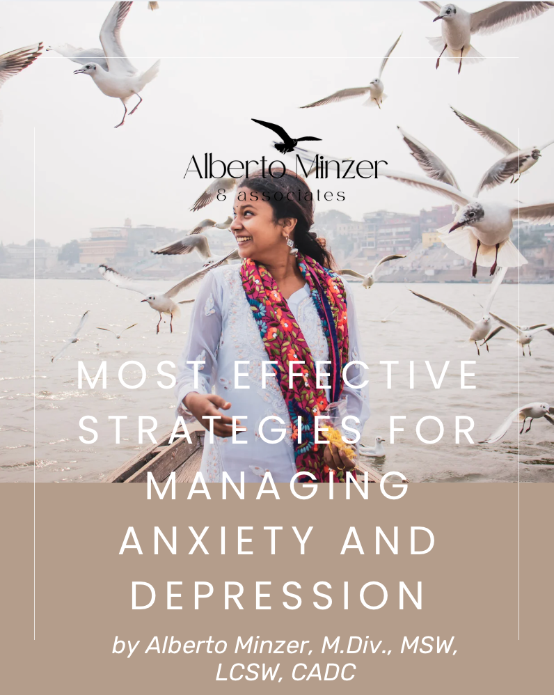 Book cover: woman among seagulls by the waterfront, titled “Most Effective Strategies for Managing Anxiety and Depression.”