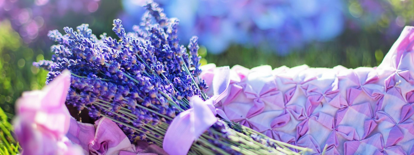 Luxury doula
pampered pregnancy
Birth services Dayton ohio
Christian doula
