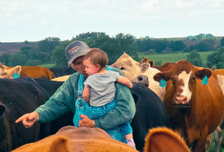 Person holding a child among cows in a pasture, with a brown cow pointing in the foreground.