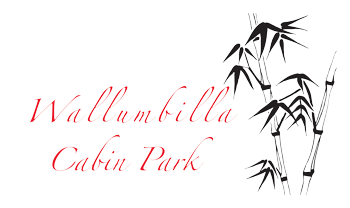 Accommodation in Wallumbilla - Wallumbilla Cabin Park