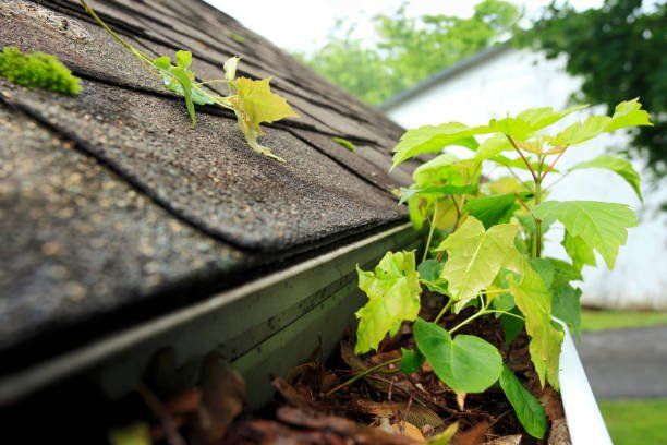 roofing companies near me