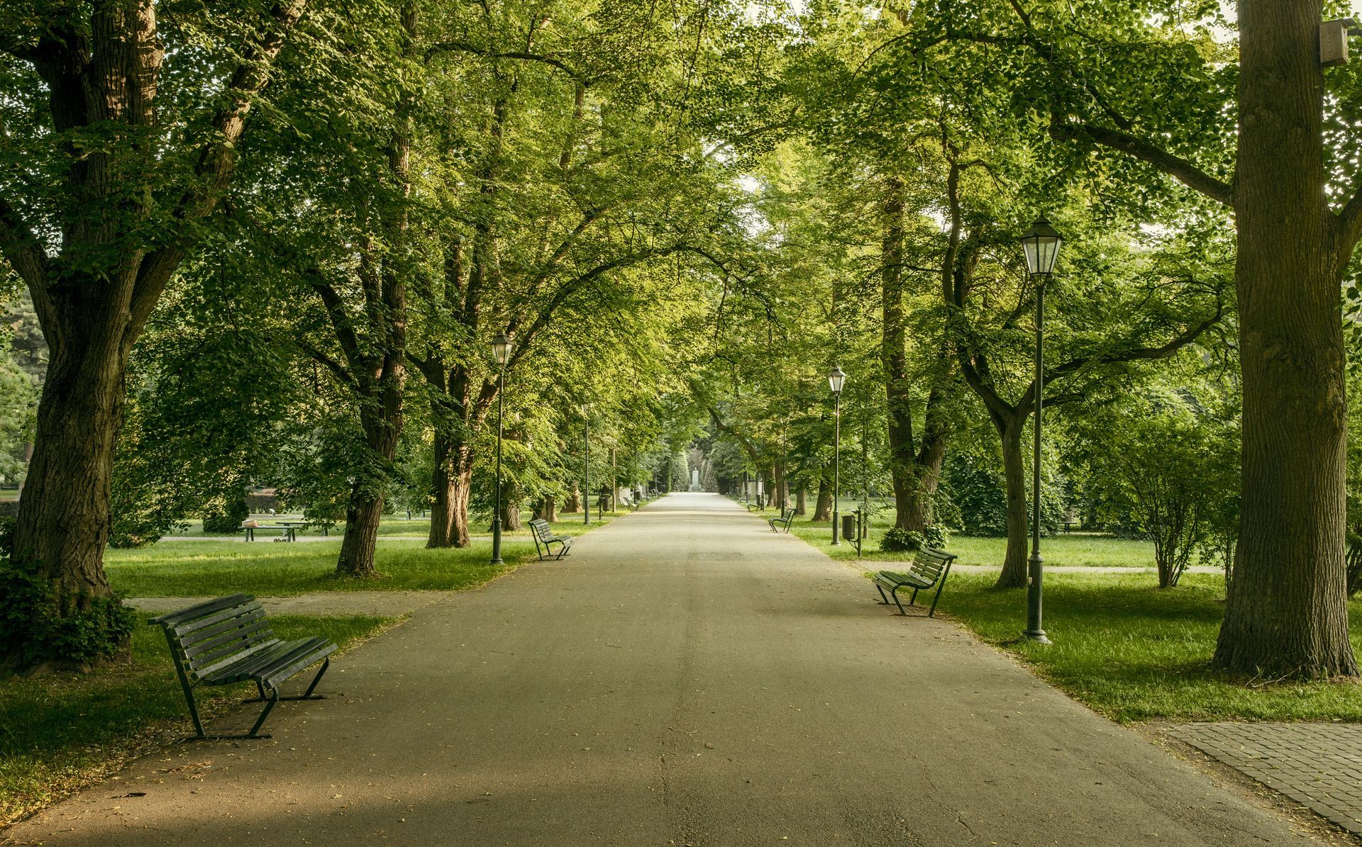 A wide, paved pedestrian path stretches straight into the distance, lined on both sides by lush, green lawns and tall, leafy trees that form a canopy overhead. Empty park benches and classic lampposts sit along the sides of the path under the shade.