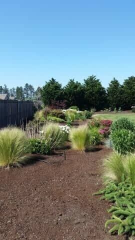 Landscaped garden path with ornamental grasses, shrubs, and trees under a clear blue sky