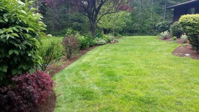 Lush green garden lawn bordered by shrubs and flowering plants on a cloudy day