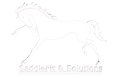 Outline of a running horse, with "SaddleFit & Solutions" text below.