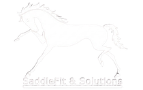 Outline of a running horse, with "SaddleFit & Solutions" text below.